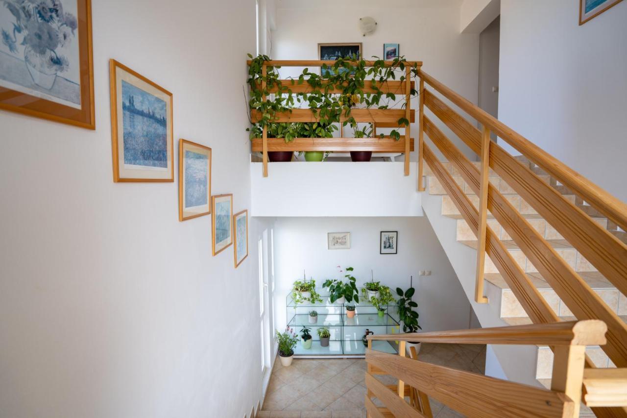 Apartments Valentin Privlaka  Exteriör bild